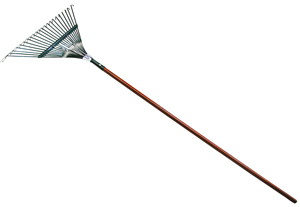rake