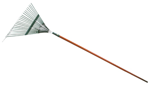 rake